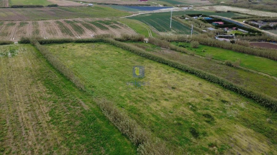 Terreno para Venda em Ferrel Foto 5