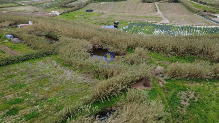 Terreno para Venda em Ferrel Foto 6