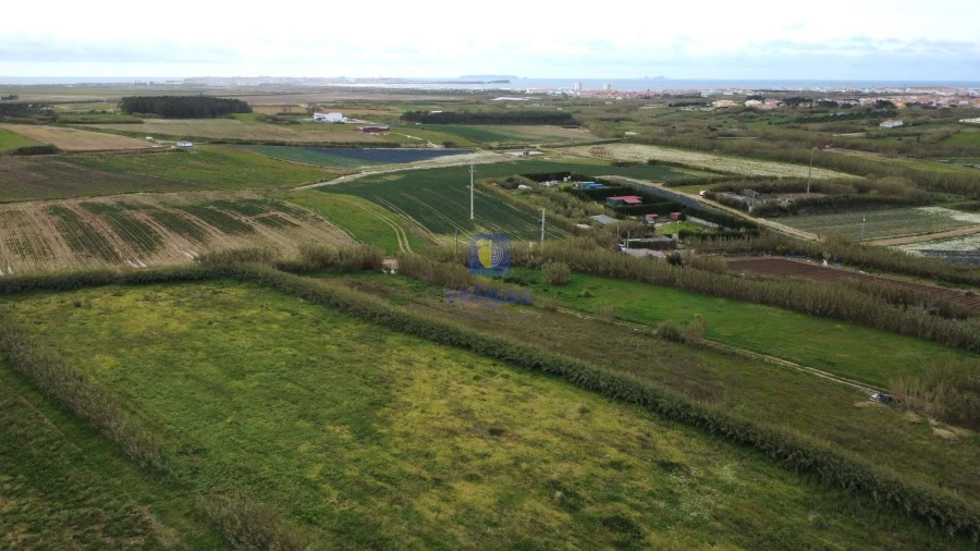 Terreno para Venda em Ferrel Foto 3