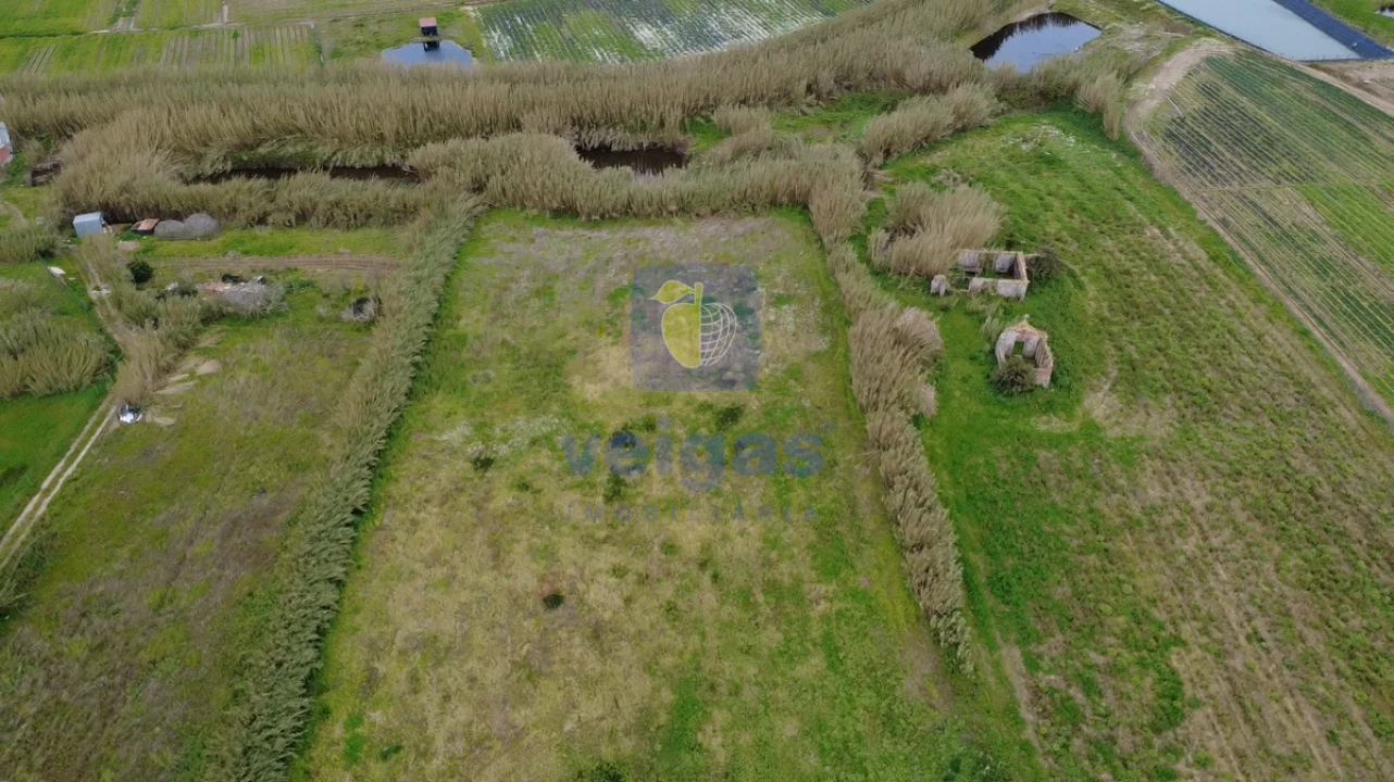 Terreno para Venda em Ferrel Foto 4