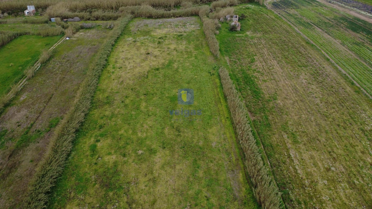 Terreno para Venda em Ferrel Foto 7