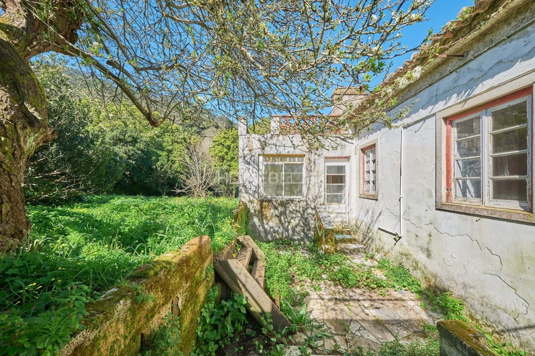 Moradia T4 para Venda em Agualva e Mira-Sintra Foto 28