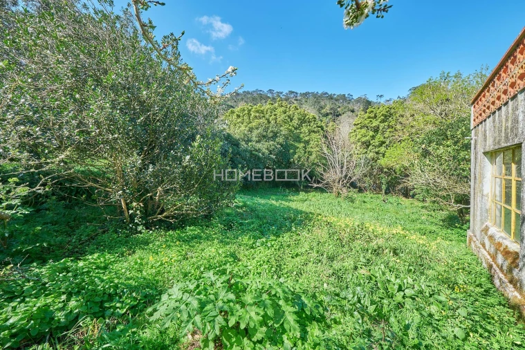 Moradia T4 para Venda em Agualva e Mira-Sintra Foto 30