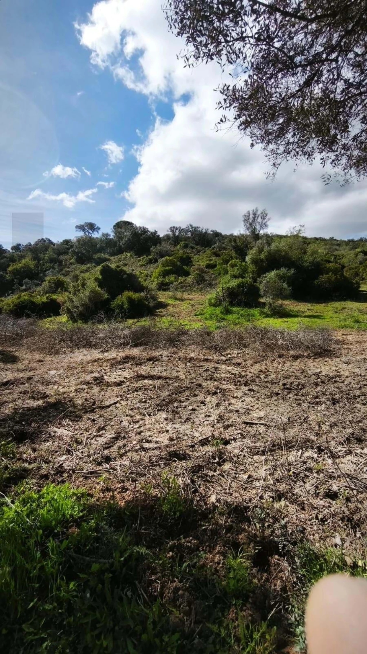 Terreno para Venda em Loule (São Clemente) Foto 9