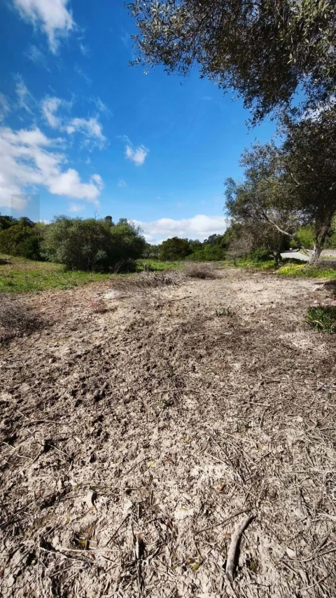 Terreno para Venda em Loule (São Clemente)