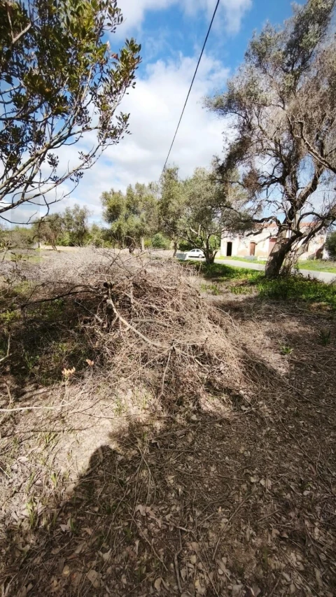 Terreno para Venda em Loule (São Clemente)