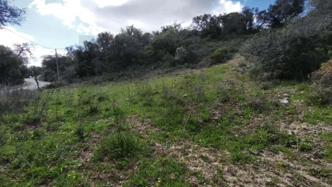 Terreno para Venda em Loule (São Clemente)