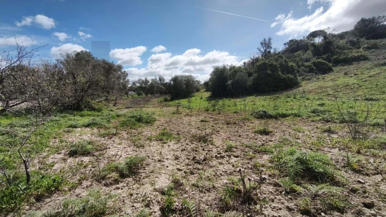 Terreno para Venda em Loule (São Clemente) Foto 21