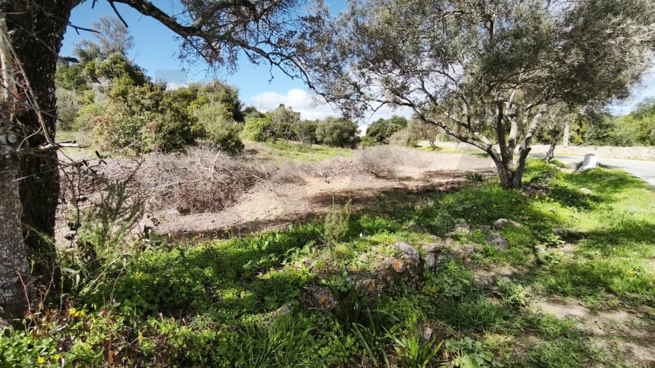 Terreno para Venda em Loule (São Clemente) Foto 24
