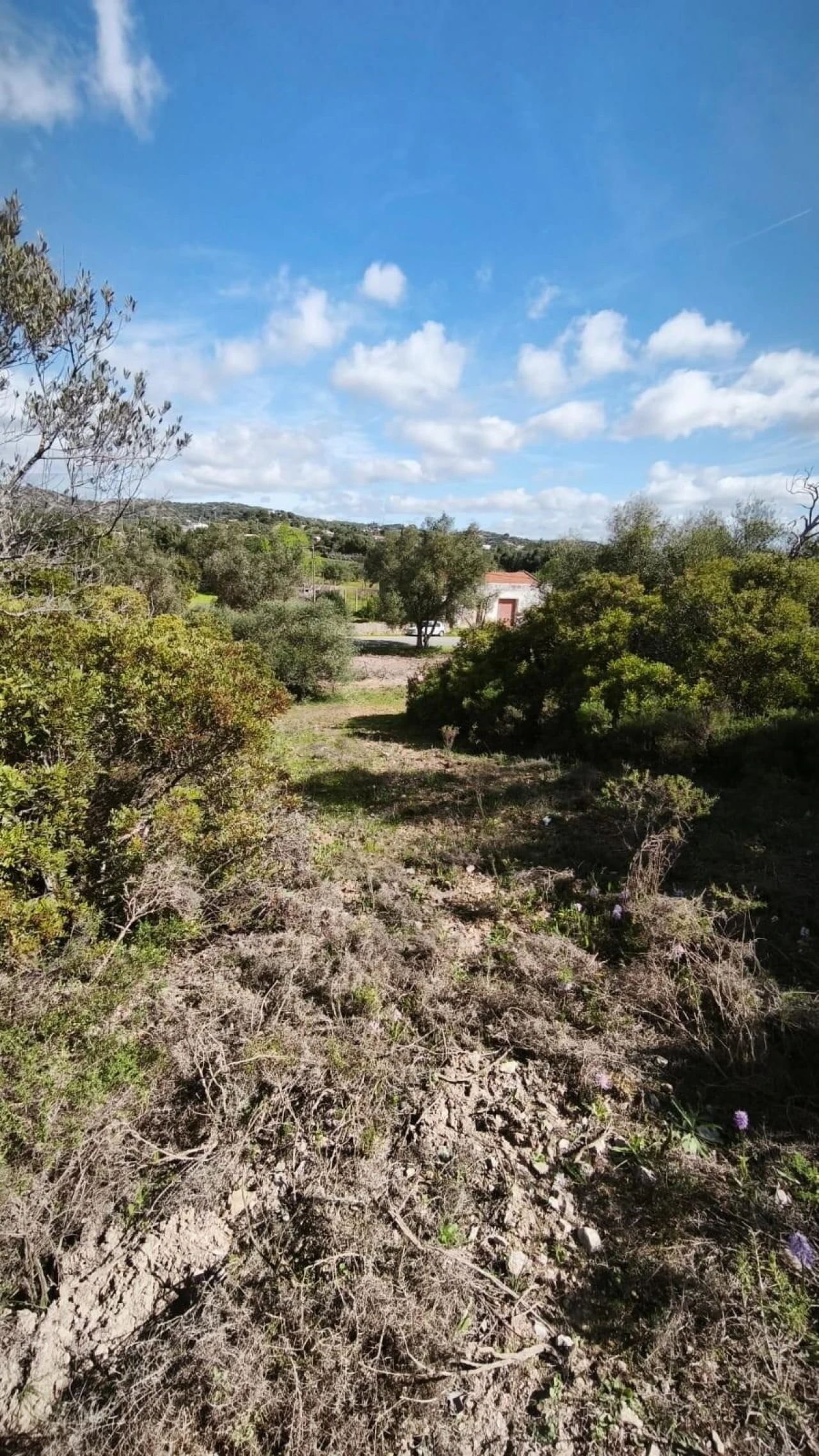 Terreno para Venda em Loule (São Clemente) Foto 17