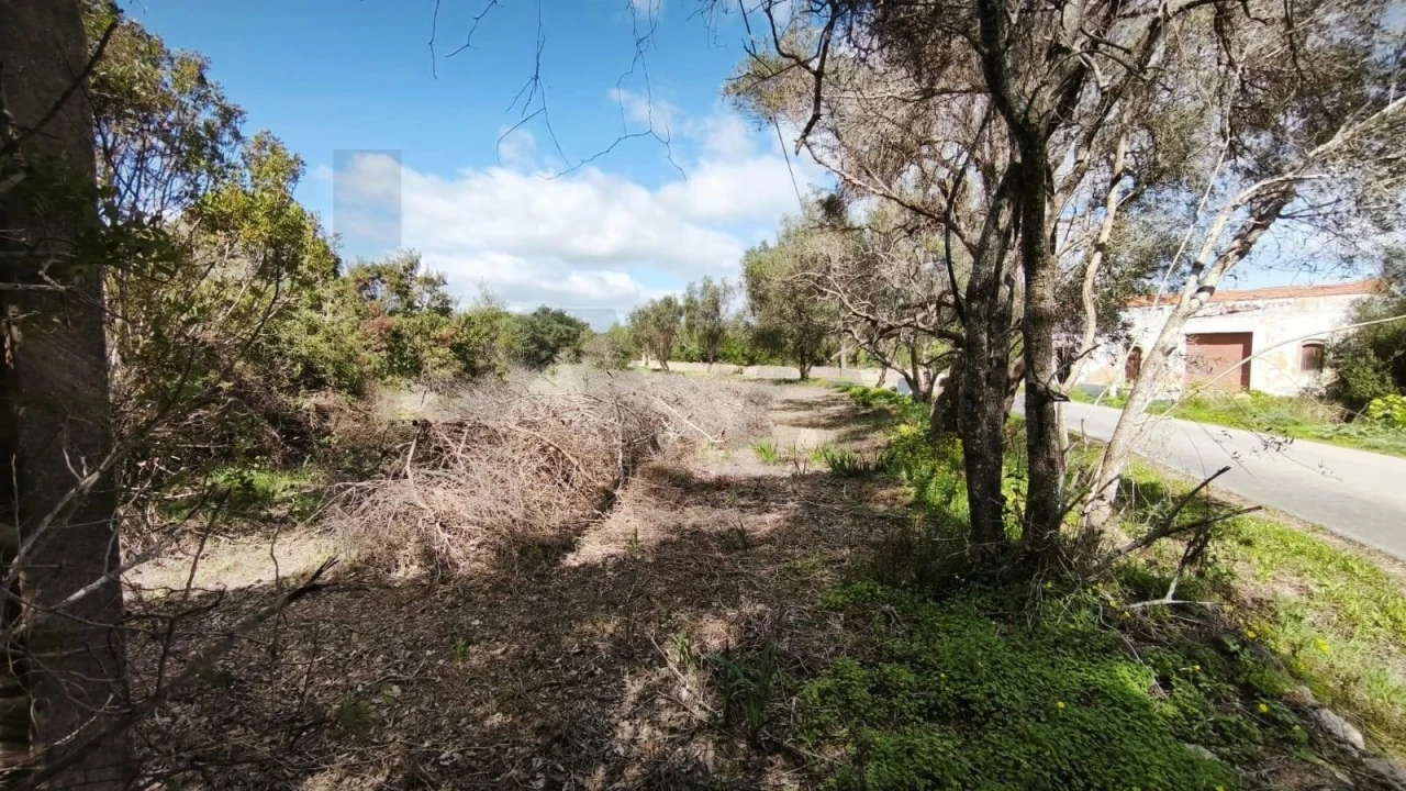 Terreno para Venda em Loule (São Clemente) Foto 26