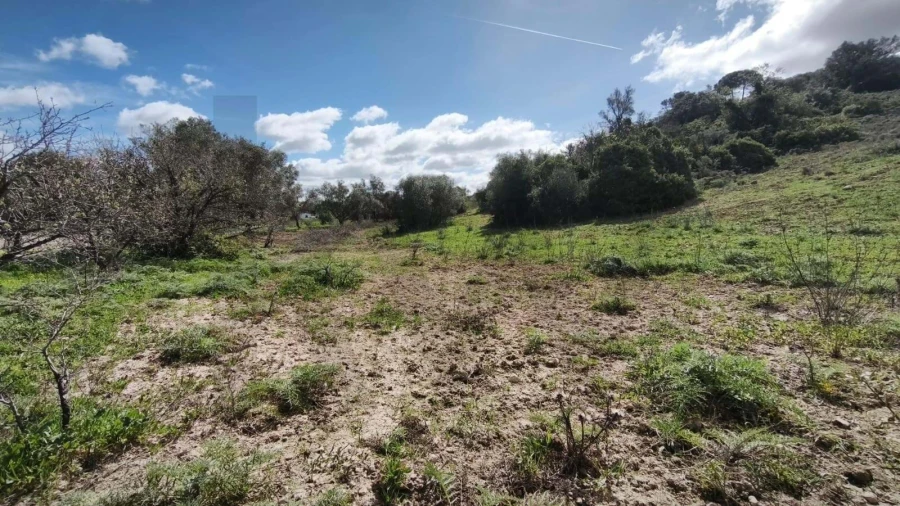 Terreno para Venda em Loule (São Clemente) Foto 21