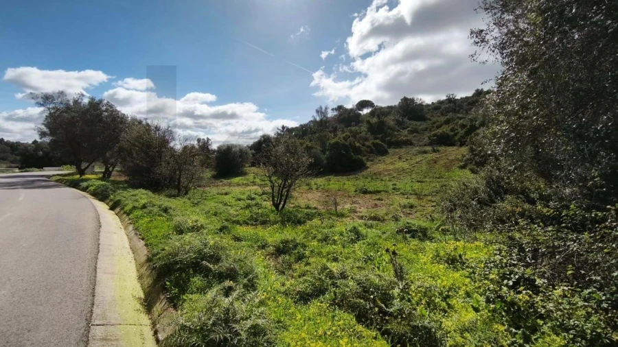 Terreno para Venda em Loule (São Clemente) Foto 22