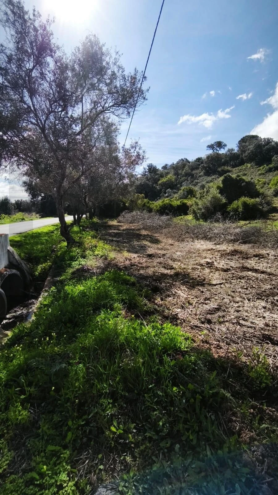 Terreno para Venda em Loule (São Clemente) Foto 10