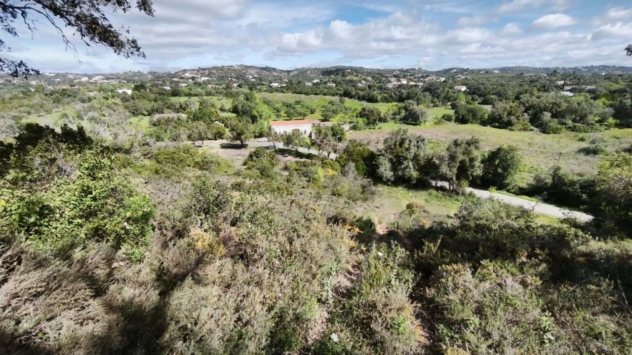 Terreno para Venda em Loule (São Clemente) Foto 1