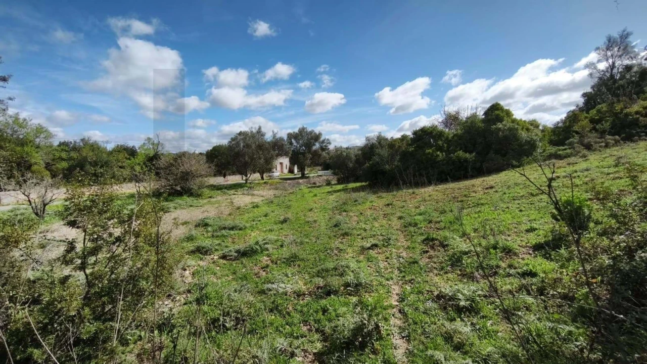 Terreno para Venda em Loule (São Clemente) Foto 20