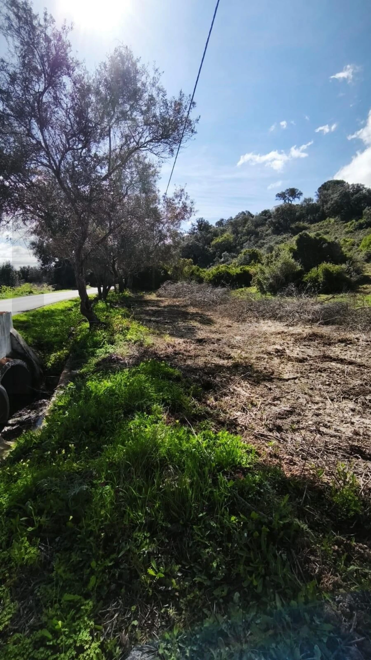 Terreno para Venda em Loule (São Clemente) Foto 10