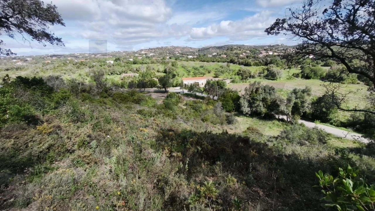 Terreno para Venda em Loule (São Clemente) Foto 3