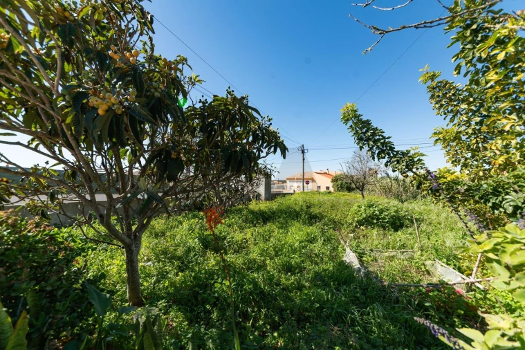 Moradia T4 para Venda em Vila de Sagres Foto 4