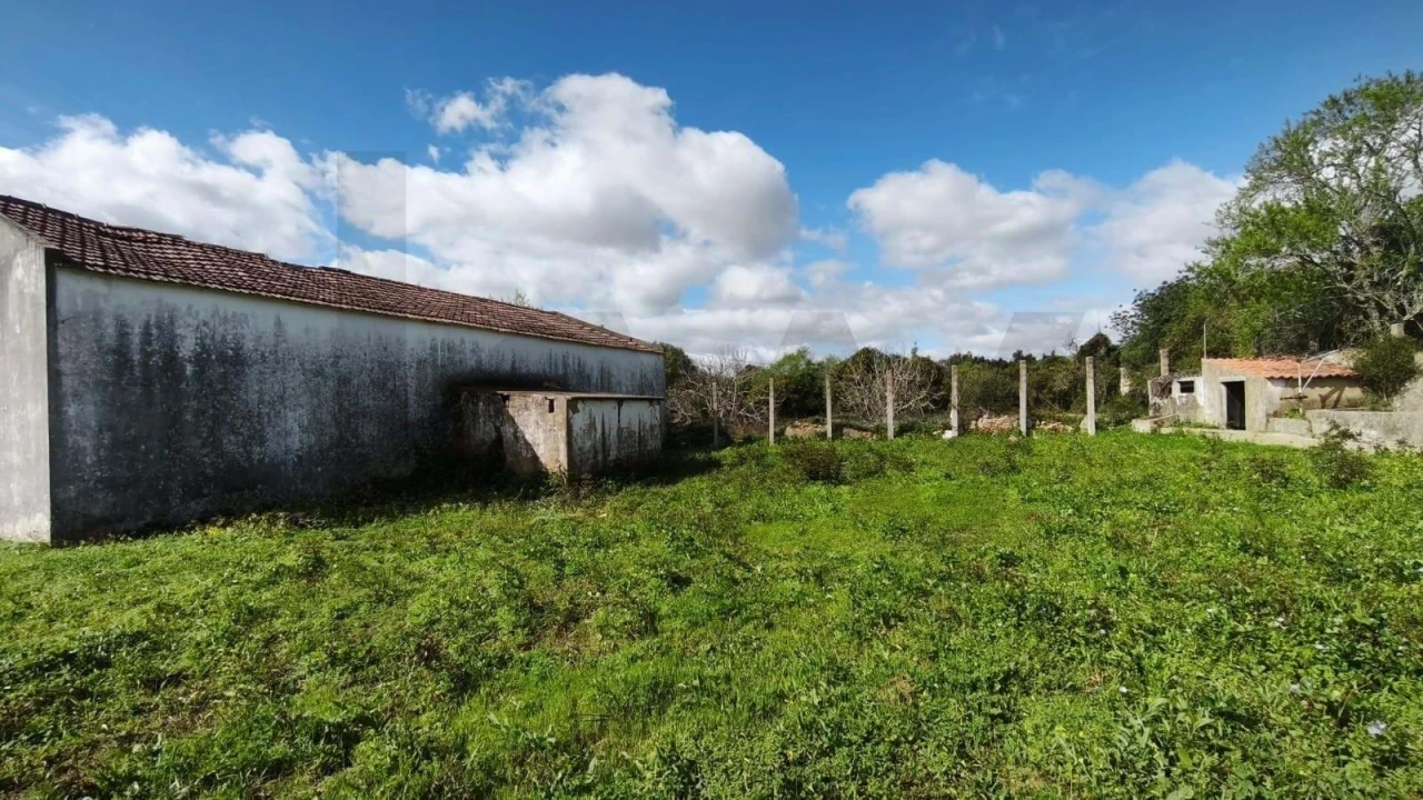 Armazém para Venda em Loule (São Clemente) Foto 34