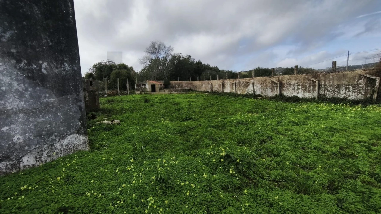 Armazém para Venda em Loule (São Clemente) Foto 19