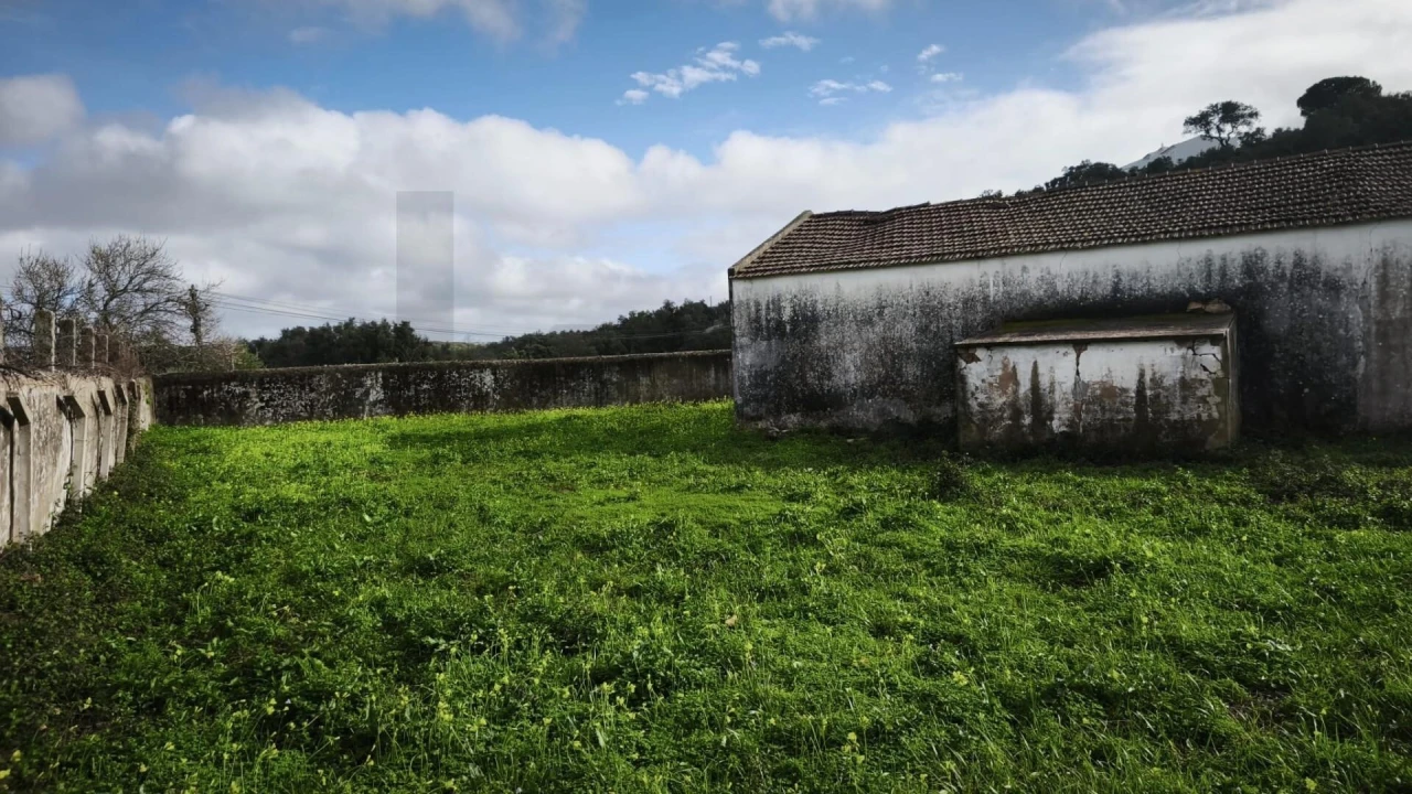Armazém para Venda em Loule (São Clemente) Foto 14