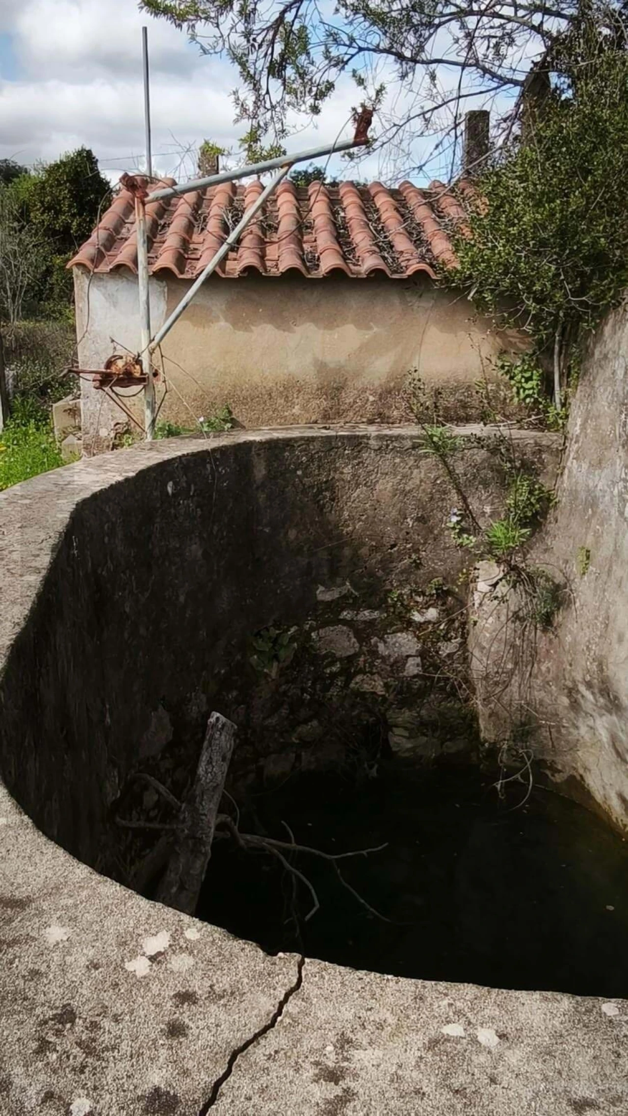 Armazém para Venda em Loule (São Clemente) Foto 36
