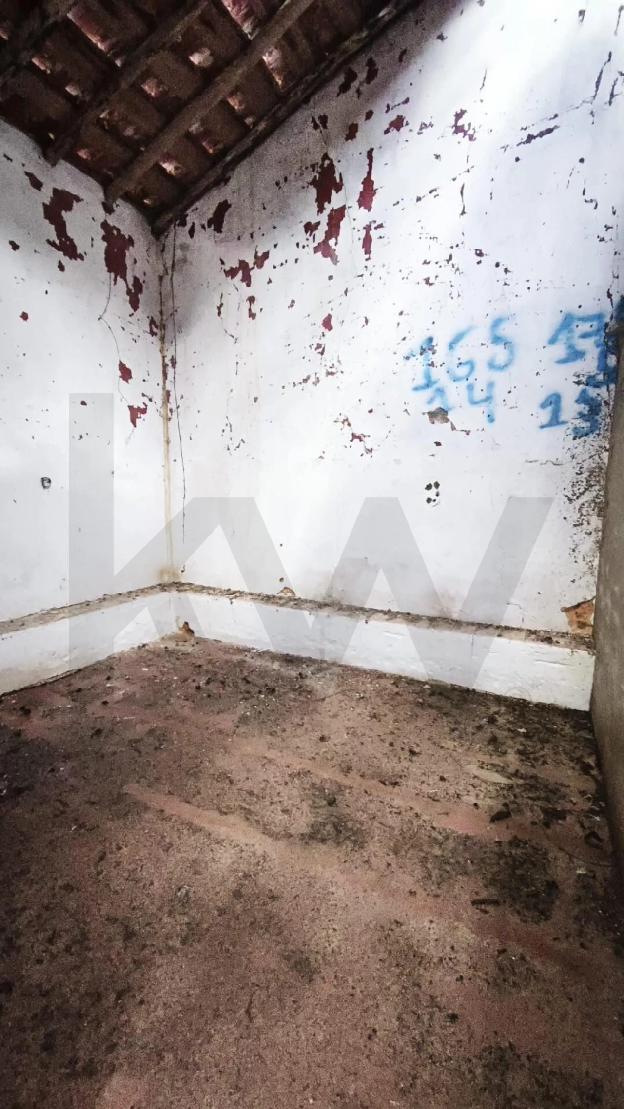 Armazém para Venda em Loule (São Clemente) Foto 6