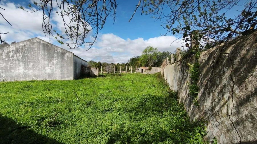 Armazém para Venda em Loule (São Clemente) Foto 31