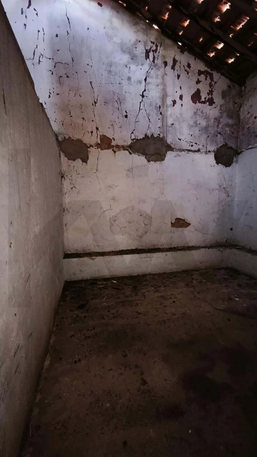 Armazém para Venda em Loule (São Clemente) Foto 18