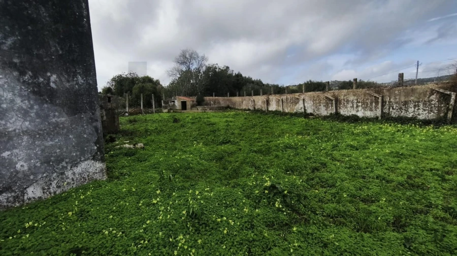 Armazém para Venda em Loule (São Clemente) Foto 19