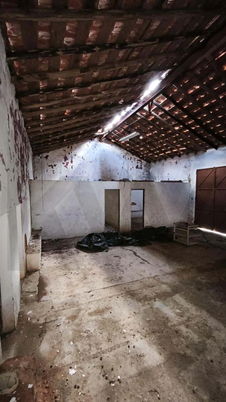 Armazém para Venda em Loule (São Clemente) Foto 11