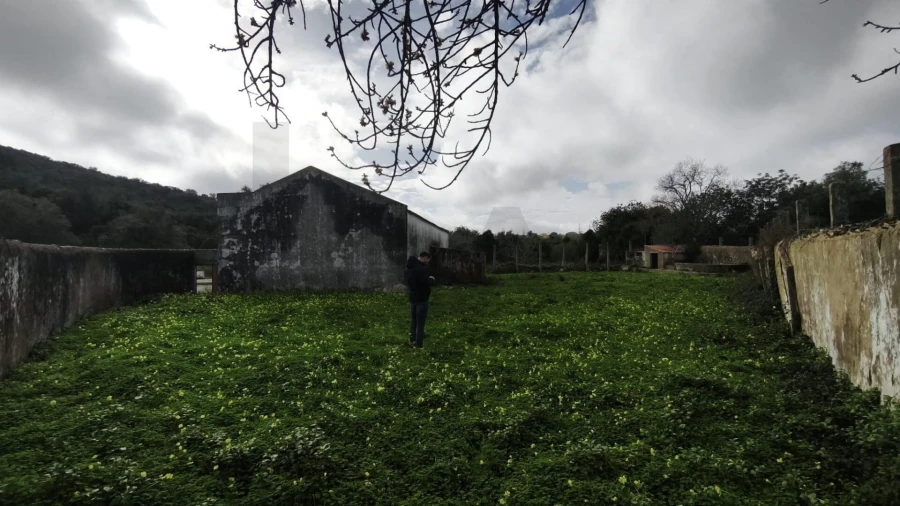 Armazém para Venda em Loule (São Clemente) Foto 17