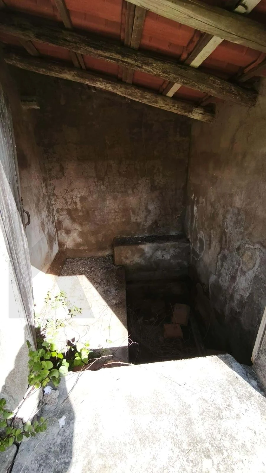 Armazém para Venda em Loule (São Clemente) Foto 39