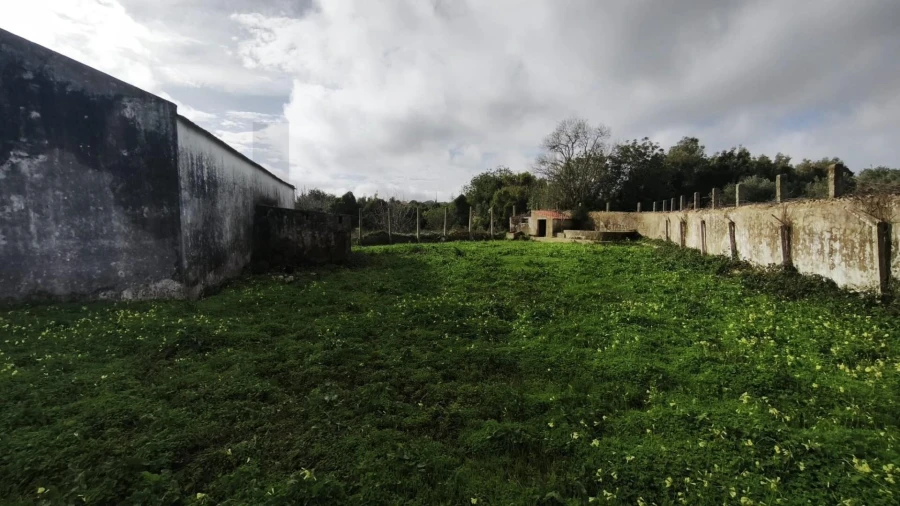 Armazém para Venda em Loule (São Clemente) Foto 15