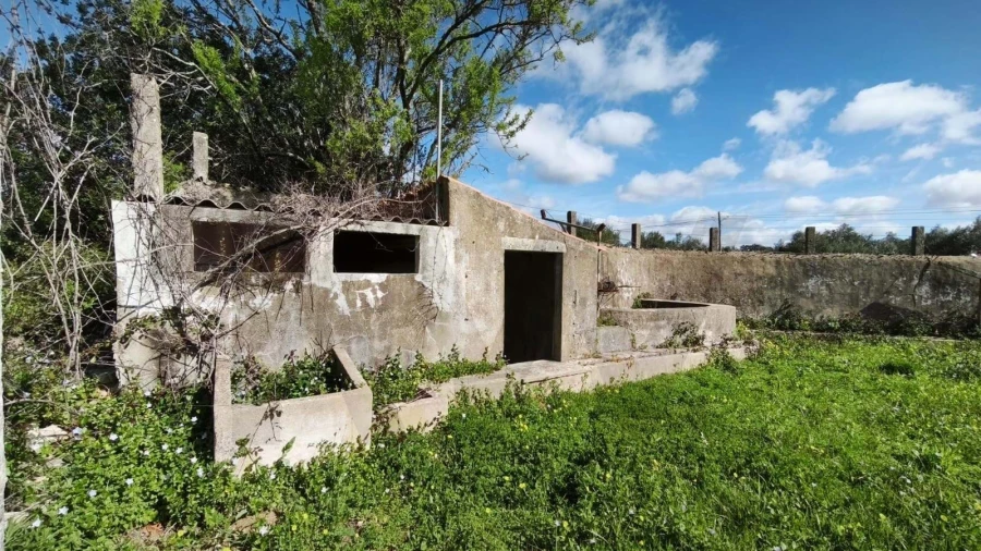 Armazém para Venda em Loule (São Clemente) Foto 40