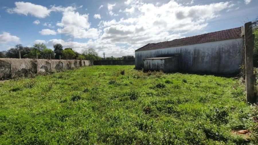 Armazém para Venda em Loule (São Clemente) Foto 42