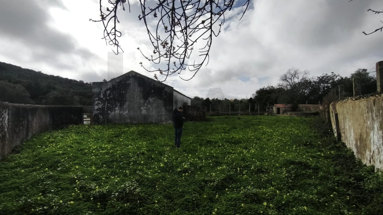 Armazém para Venda em Loule (São Clemente) Foto 17