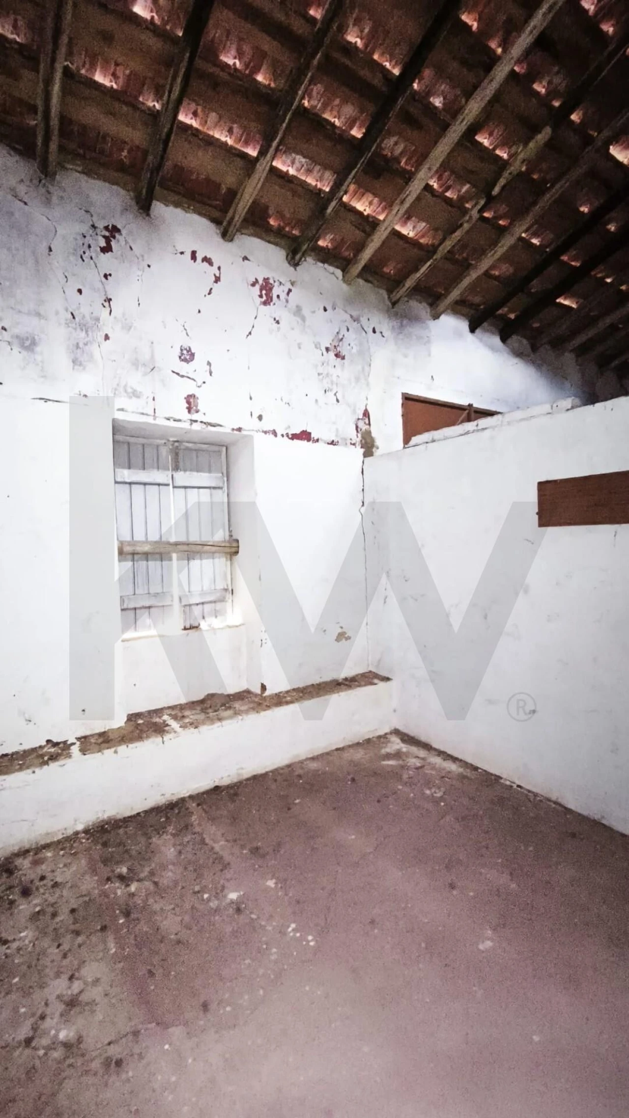 Armazém para Venda em Loule (São Clemente) Foto 11