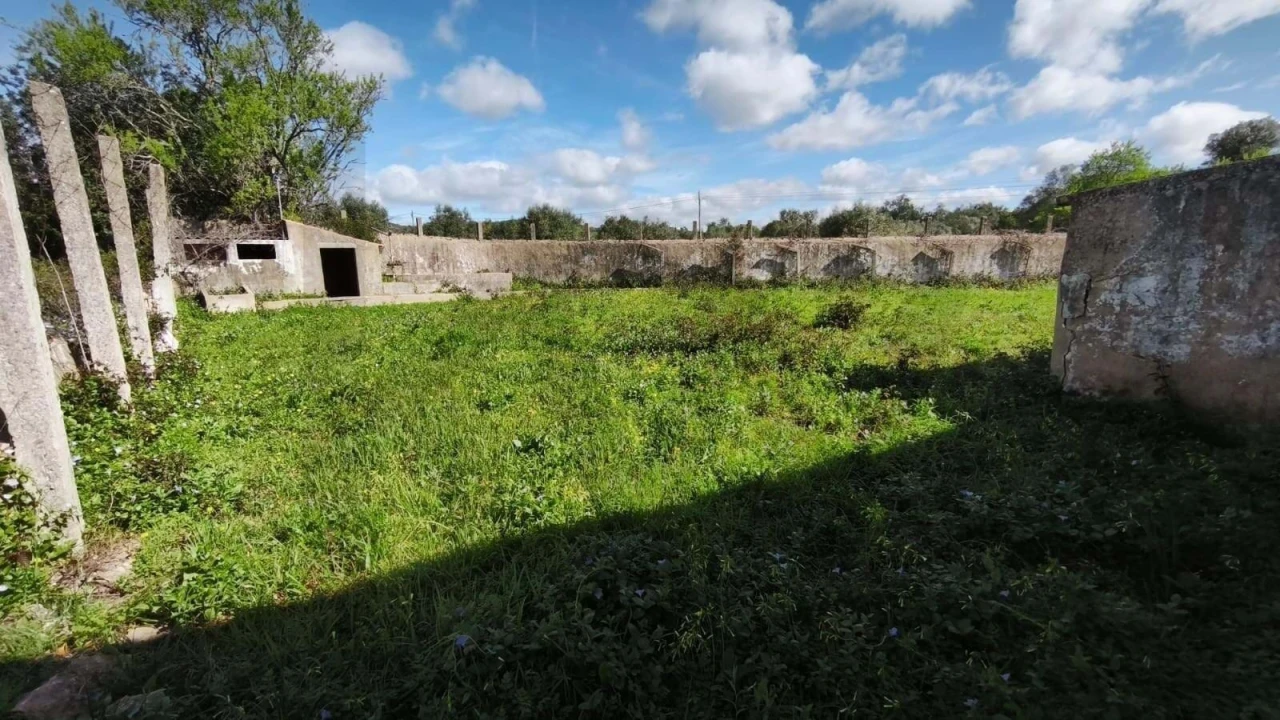 Armazém para Venda em Loule (São Clemente) Foto 43