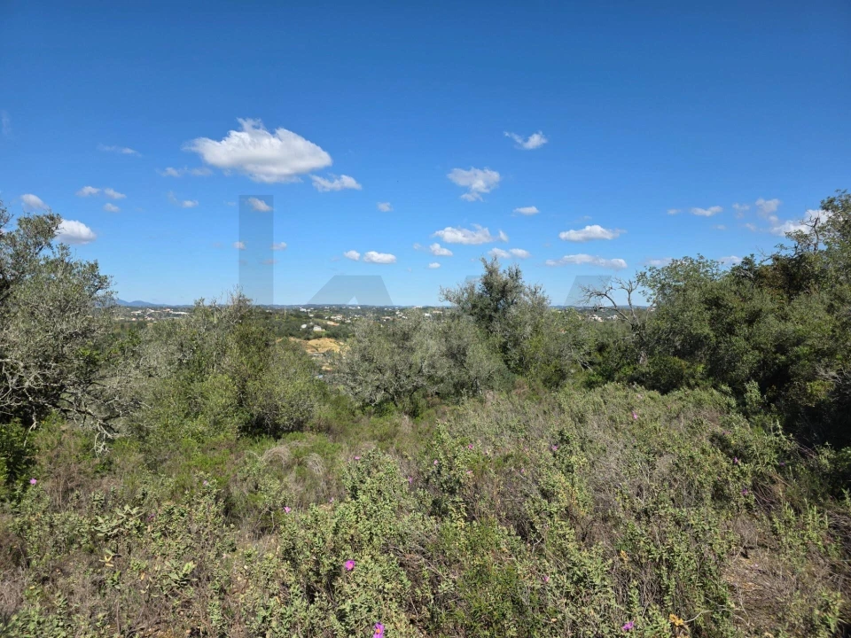 Terreno para Venda em São Silvestre Foto 13