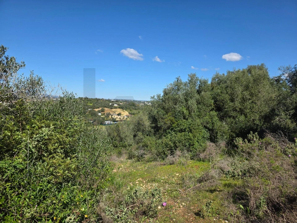 Terreno para Venda em São Silvestre Foto 7