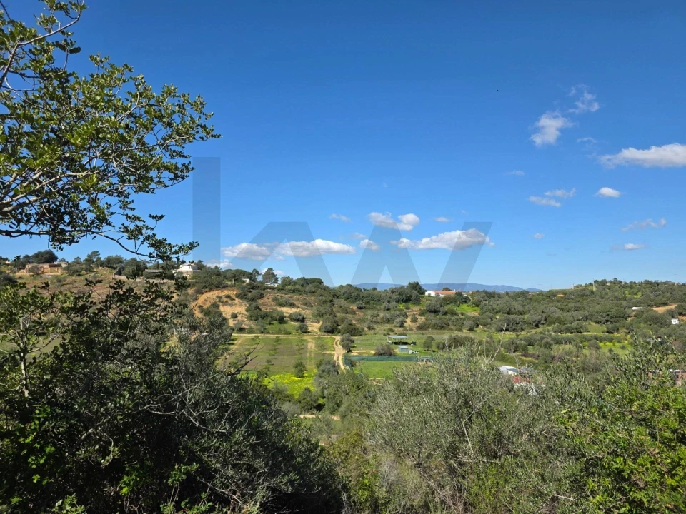 Terreno para Venda em São Silvestre Foto 5