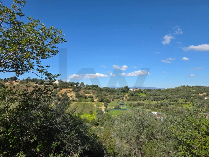 Terreno para Venda em São Silvestre Foto 5