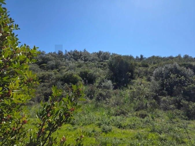 Terreno para Venda em São Silvestre Foto 4