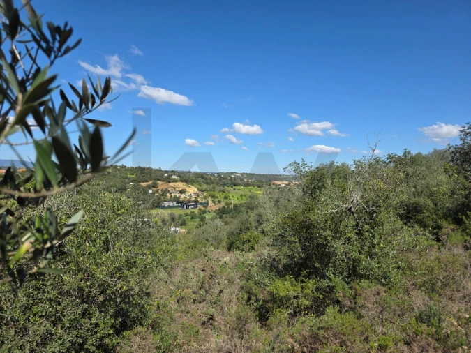 Terreno para Venda em São Silvestre Foto 14