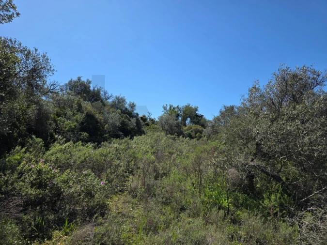 Terreno para Venda em São Silvestre Foto 12