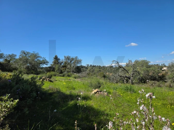 Terreno para Venda em São Silvestre Foto 11