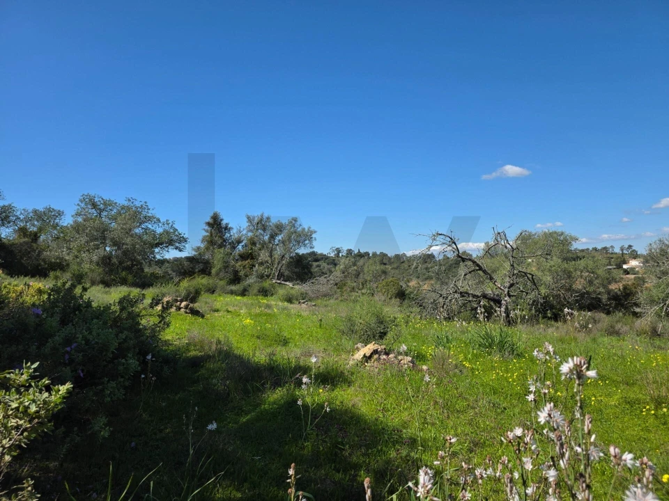 Terreno para Venda em São Silvestre Foto 11