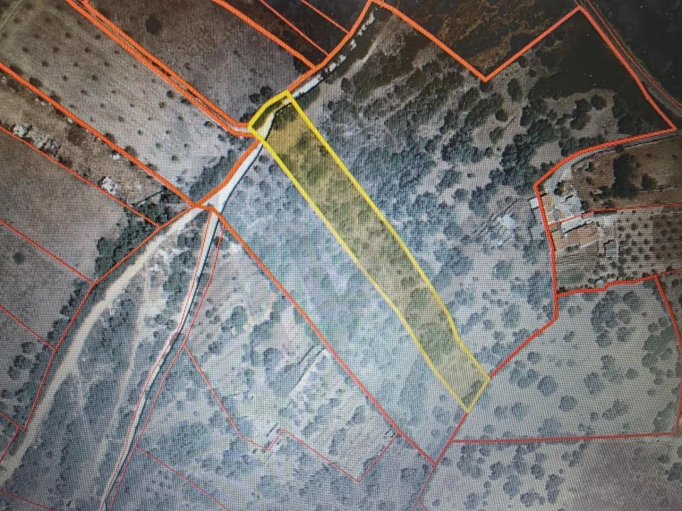 Terreno para Venda em São Silvestre Foto 16